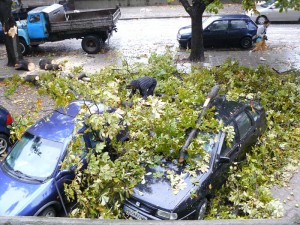 e-svilengrad-uraganen vqtyr potroshi koli i dyrveta v grada
