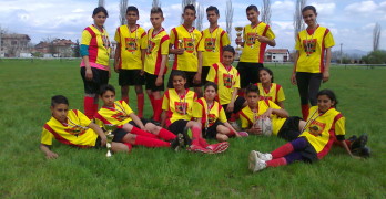 rygbi