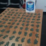Близо 3000 старинни монети задържаха на „Капитан Андреево“