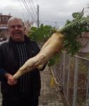 Нашенец отгледа 7-килограмова ряпа, подари я на съседката си