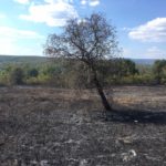 Свиленградските пожарникари спасиха крепостта Букелон в Маточина