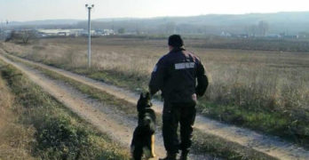 Полицаи откриха невредими две деца, изгубили се вчера край Любимец