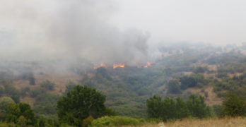 Пожарът в Оряхово, община Любимец вече обхвана над 500 дка