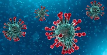 За последното денонощие заразените с коронавирусна инфекция са 36 в Хасковско, в Свиленград 5