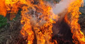 В Любимец се подпали бивша автоморга