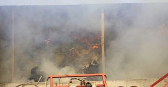 Гори голям пожар в свиленградското село Пъстрогор