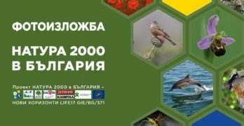 Зелени Балкани редят изложба в арт галерията в Свиленград