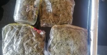 В Тополовград полицаи разкриха 330 грама марихуана, в Хасково – над 6 килограма