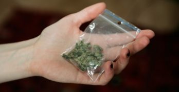 Задържаха криминално проявен с наркотици край Любимец
