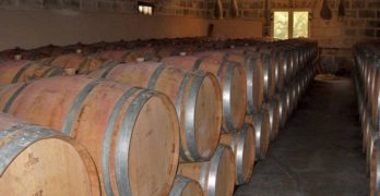 Липси на стотици тонове бели и червени вина установиха митнически служители при проверка на данъчен склад