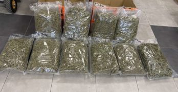 На „Капитан Андреево” откриха над 11 кг марихуана в контейнер за смет