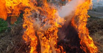 Пожар изпепели две къщи и 15 дка сухи треви в Присъдец