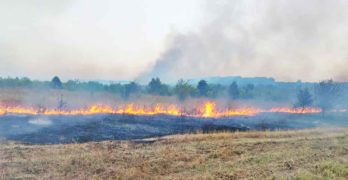 Двата големи пожара – Белица и Йерусалимово, са вече загасени, край Брягово продължава да гори