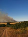 Отново пожар край Свиленград, гори в „Блатното кокиче”