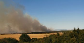 Отново пожар край Свиленград, гори в „Блатното кокиче”