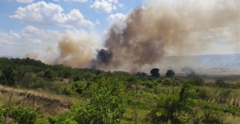Голям пожар гори в района на „Якъка”, Свиленградско /допълнена  с ново видео/
