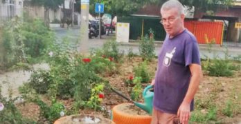 Забелязано в Свиленград: Съвестен гражданин – за пример, се грижи за улични рози /снимка/