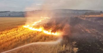 Пожарът край Васково и Оряхово изпепели 2 500 дка горски фонд