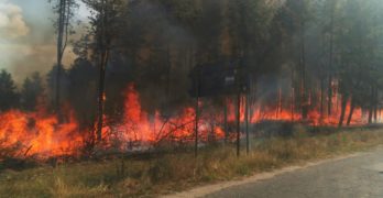 Пожар гори между свиленградските села Пъстрогор и Младиново