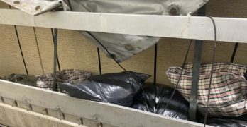 На ГКПП „Капитан Андреево”, община Свиленград митнически и гранични служители откриха марихуана за над 200 000 лева