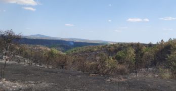 Огънят край селата Момково, Васково и Пъстрогор е ограничен