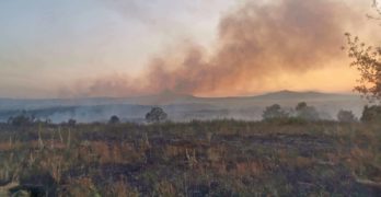 Пожар в Турция обхвана и големи територии между Присадец и Маточина