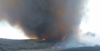 Пожар край Младиново бушува на 3500 дка, военни се включиха в гасенето