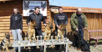 Кучета от Свиленград с награди от Международни киноложки изложби