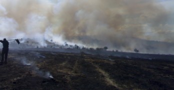 Огънят край Свиленград се разраства, стихията най-близо до Равна гора