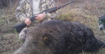 Ловец повали 220-килограмов глиган с един изстрел