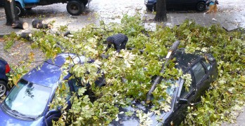 Ураганен вятър потроши коли и дървета в града