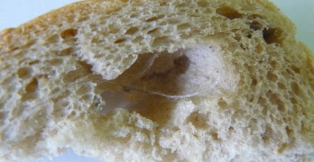 Свиленградчанка откри в хляба си …