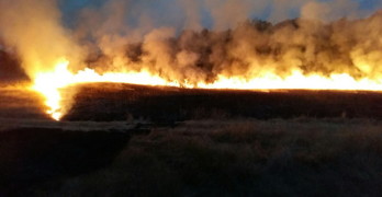 Свиленградчанин и внукът му предизвикали големия пожар край Маджарово