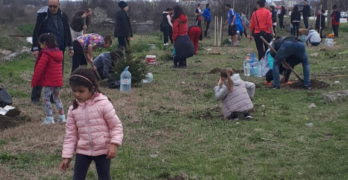 Свиленград даде началото на мащабна доброволческа акция за залесяване на България