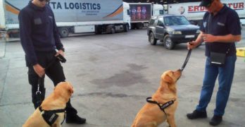 Митнически кучета се включват в борбата с контрабандата на МП „Капитан Андреево“