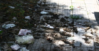 Безумие в свиленградски блок: жена изхвърля изпражненията на кучетата си през терасата