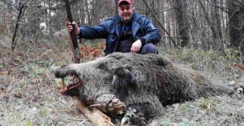 Сегашният Сакарски лъв отстрелян, май в Свиленградско