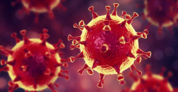 За деня в Хасковско има две потвърдени контролни проби за коронавирус