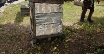 Свиленградското село Мезек се сдоби с уникални контейнери за разделно събиране на отпадъци
