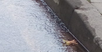 В Свиленград водата вече извира от асфалта, чака се цена от 3.50 лв. за кубик