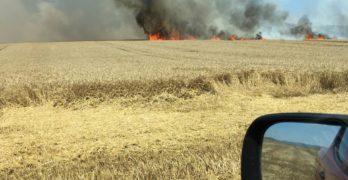 Колата на пожарникар се подпали в движение до магистрала „Марица“, подпалиха неожъната нива с жито