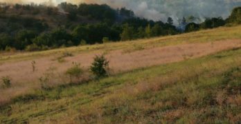 Бурен пожар се разрази между харманлийските села Рогозиново и Българин