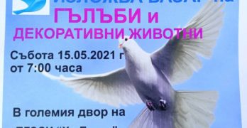 Гълъби и декоративни животни „кацат“ в Свиленград, за да помогнат на болно дете