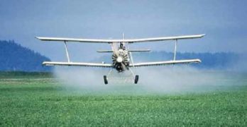 ОбА – Свиленград: С авиационна техника ще се пръска срещу комари в периода 18-24 май