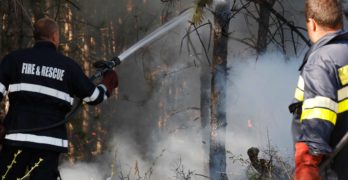 Свиленградската прокуратура наблюдава досъдебно производство за пожара в землището на Студена