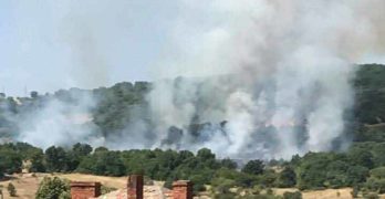 Пожар гори край Свирачи, Ивайловградско, няма опасност за населението