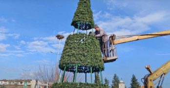 Забелязано в Свиленград: Тази година коледната елха ще е пред общинската администрация /видео/