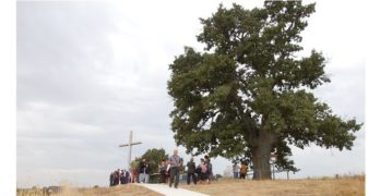 Дядо-Кольовото дърво в село Студена, община Свиленград, спечели титлата „Дърво с корен 2021“