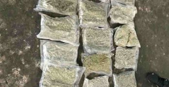 На ГКПП „Капитан Андреево“ задържаха хасковлия с над 5 кг марихуана
