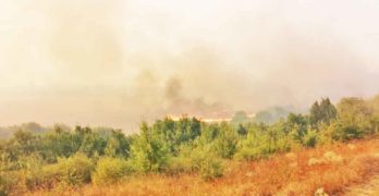 Пожарът между селата Филипово, Присадец и Маточина е локализиран